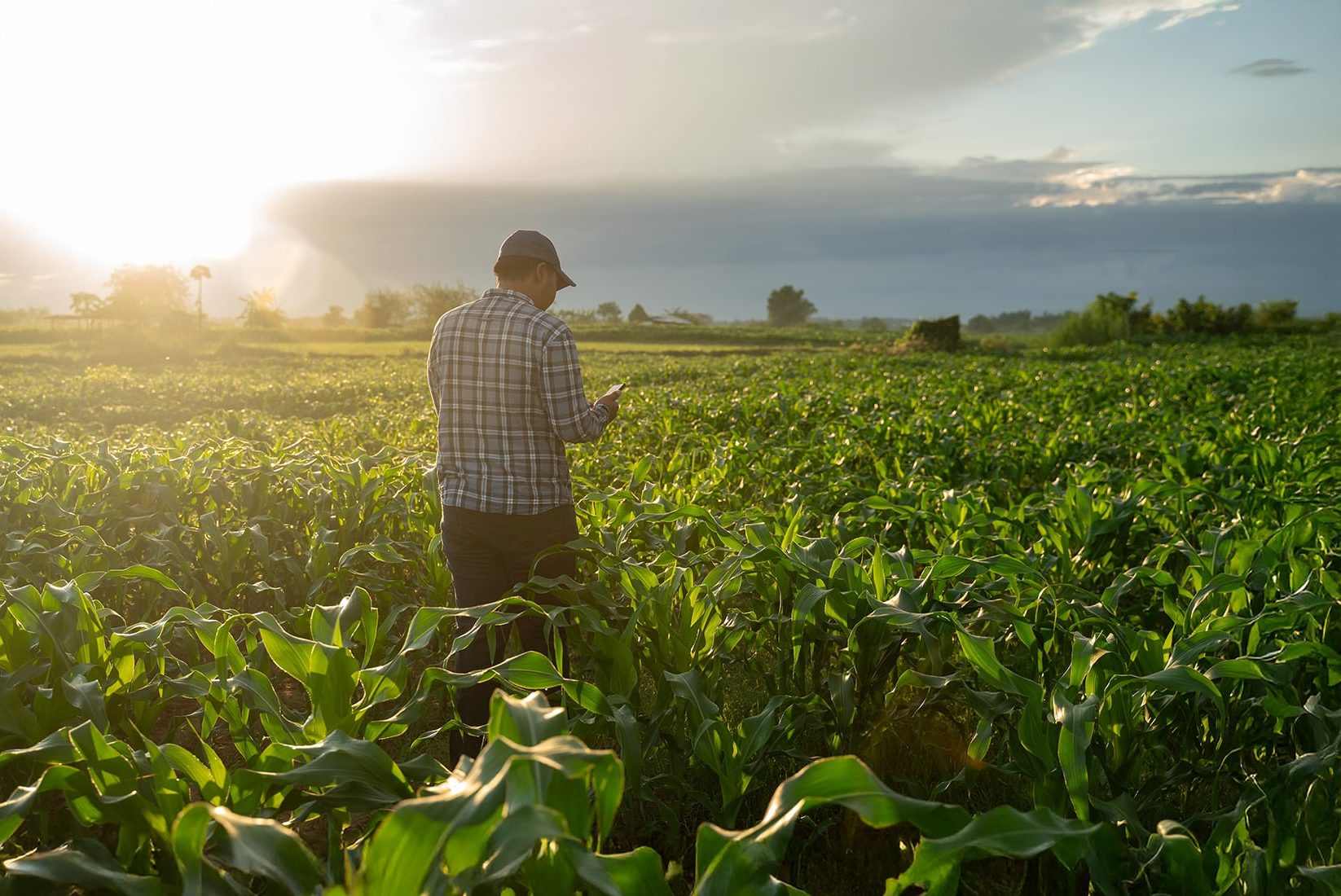 A season for progress starts here. agriculture loans